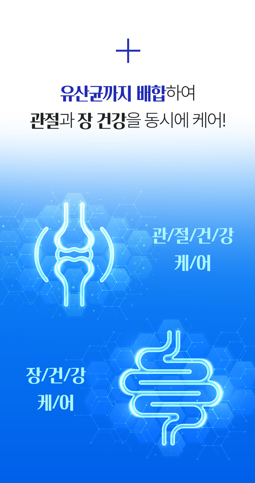 관절나라 상세설명